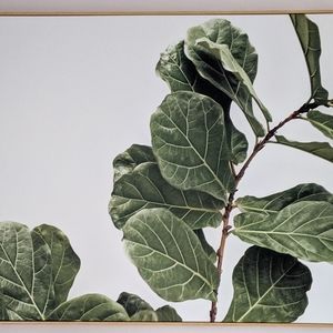 30X40 FIDDLE LEAF CANVAS